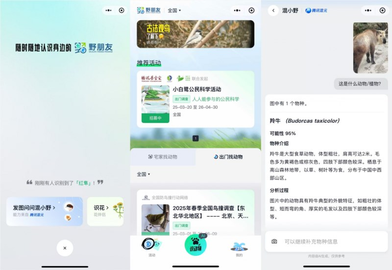 騰訊 “野朋友計(jì)劃” 攜手混元 手機(jī)變身全民生態(tài)保護(hù) “智能助手”
